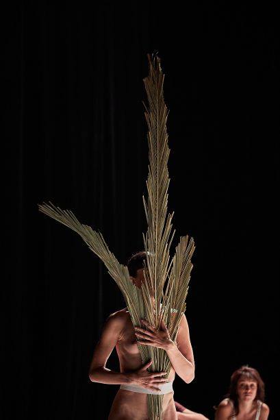 a leaf - performance - danse - Nina Santes - Célia Gondol